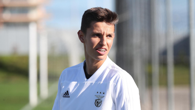 Antevisão Benfica-GilVicente