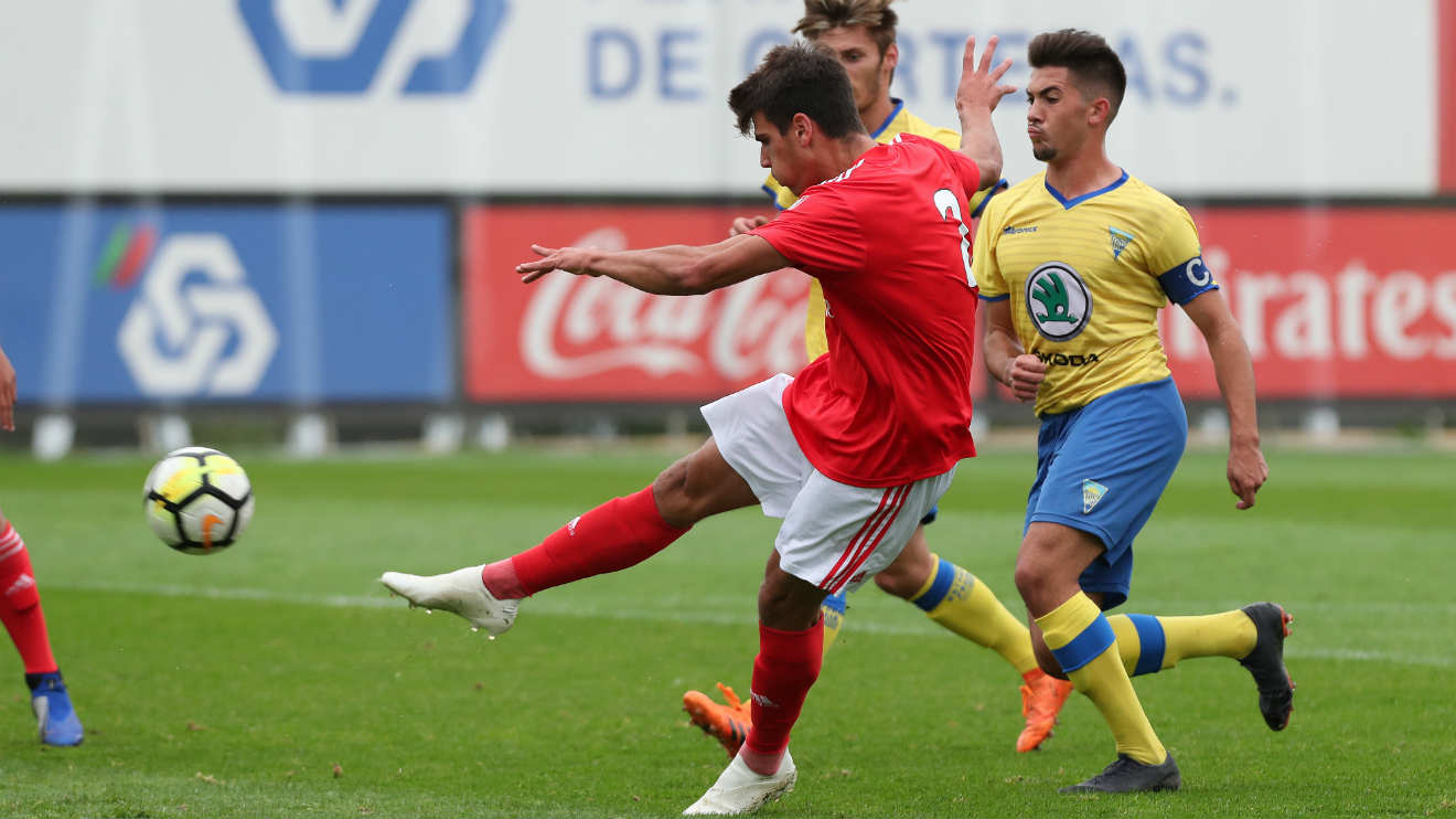 Benfica Estoril