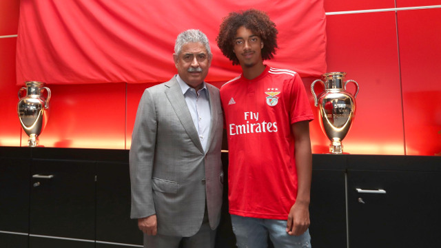 Benfica Tomas Tavares En El Equipo Principal Futbol Sl Benfica Benfica Tomas Tavares En El Equipo Principal Futbol Sl Benfica