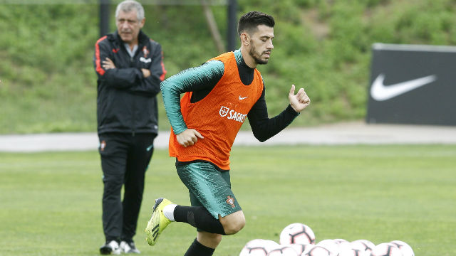 Pizzi