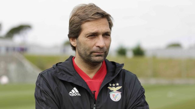 Antevisão Benfica-Aves