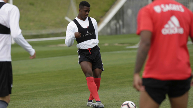 Antevisão Benfica-Aves