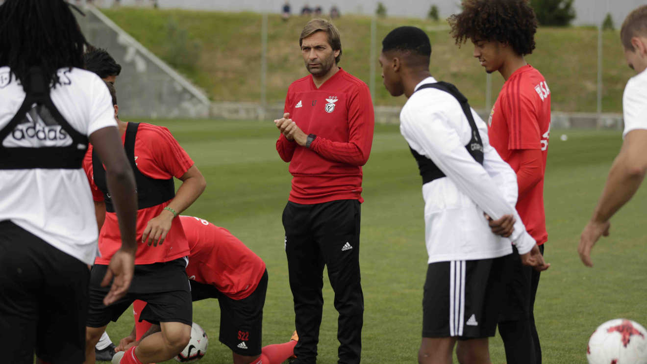 Antevisão Benfica-Aves