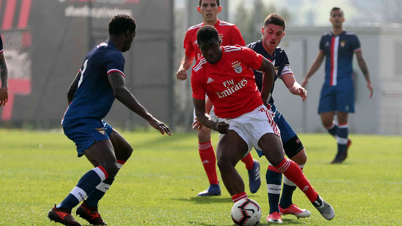 Luís Lopes