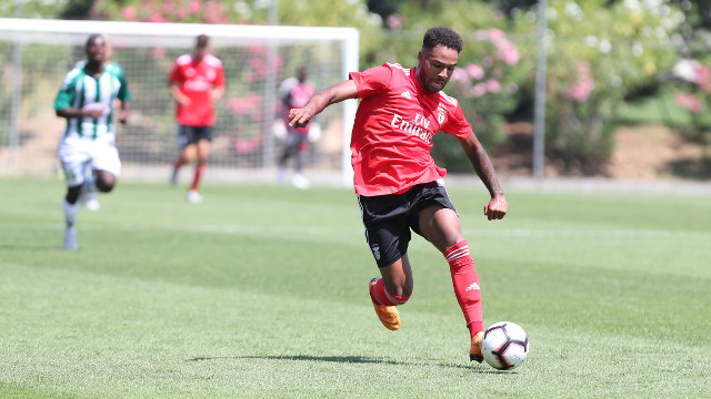 Vinícius Ferreira