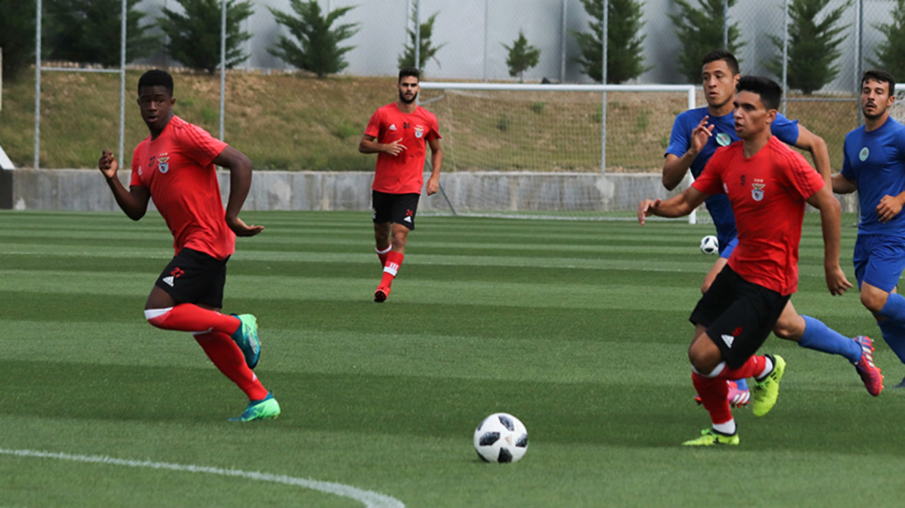 Jogo-treino