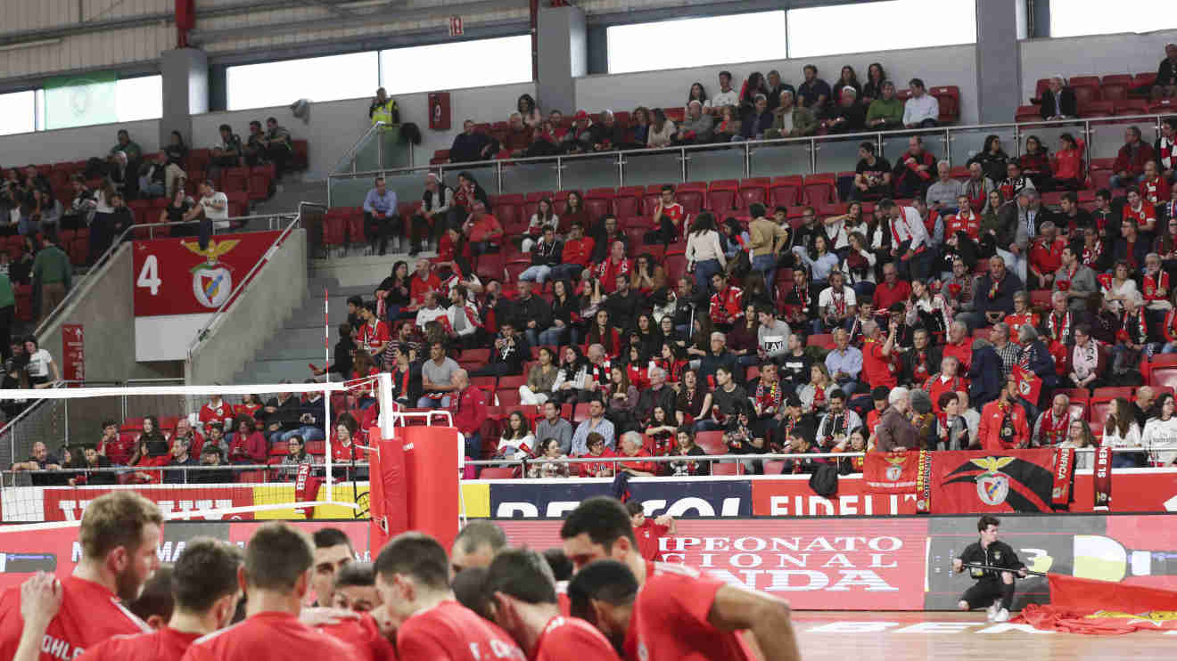 Adeptos Benfica