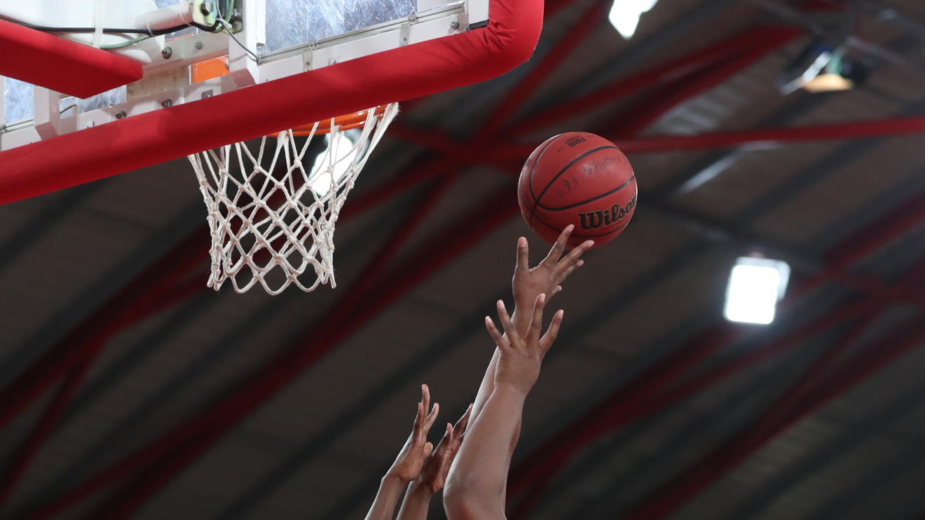 Basquetebol feminino