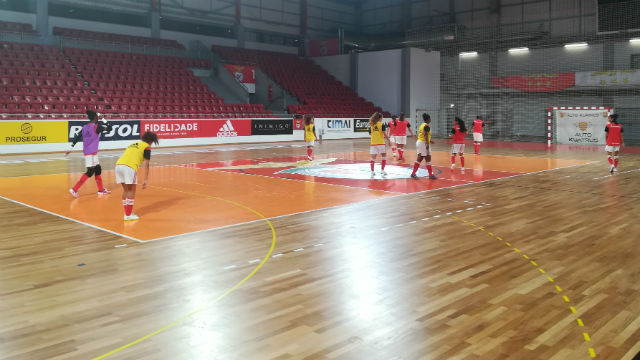 Treino