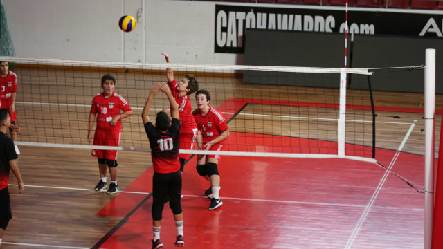 Voleibol