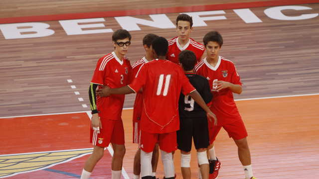 Voleibol