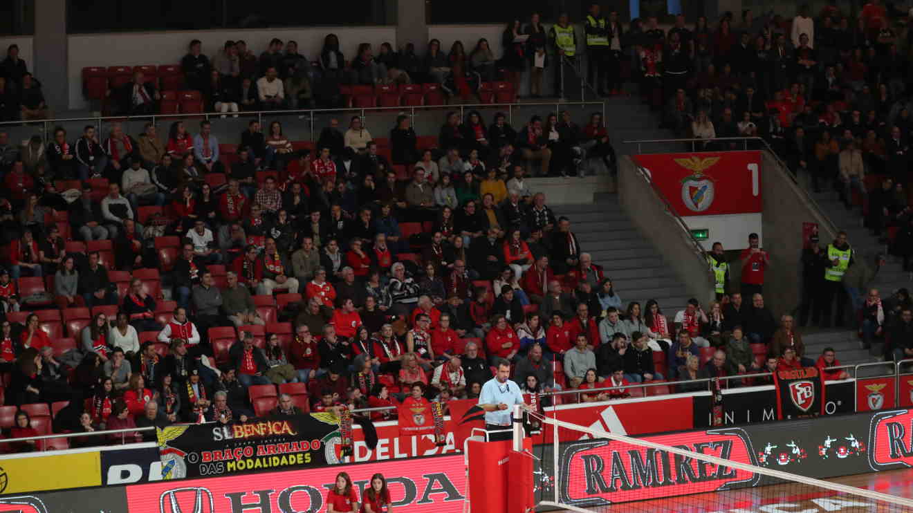 Adeptos Benfica voleibol