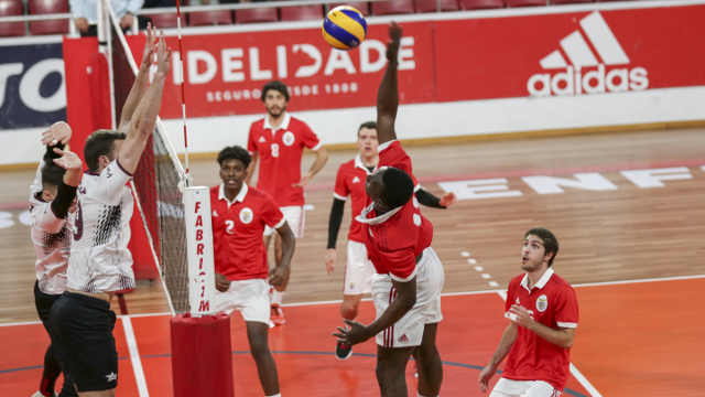 Voleibol