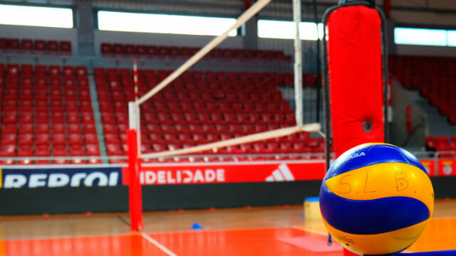 Voleibol masculino