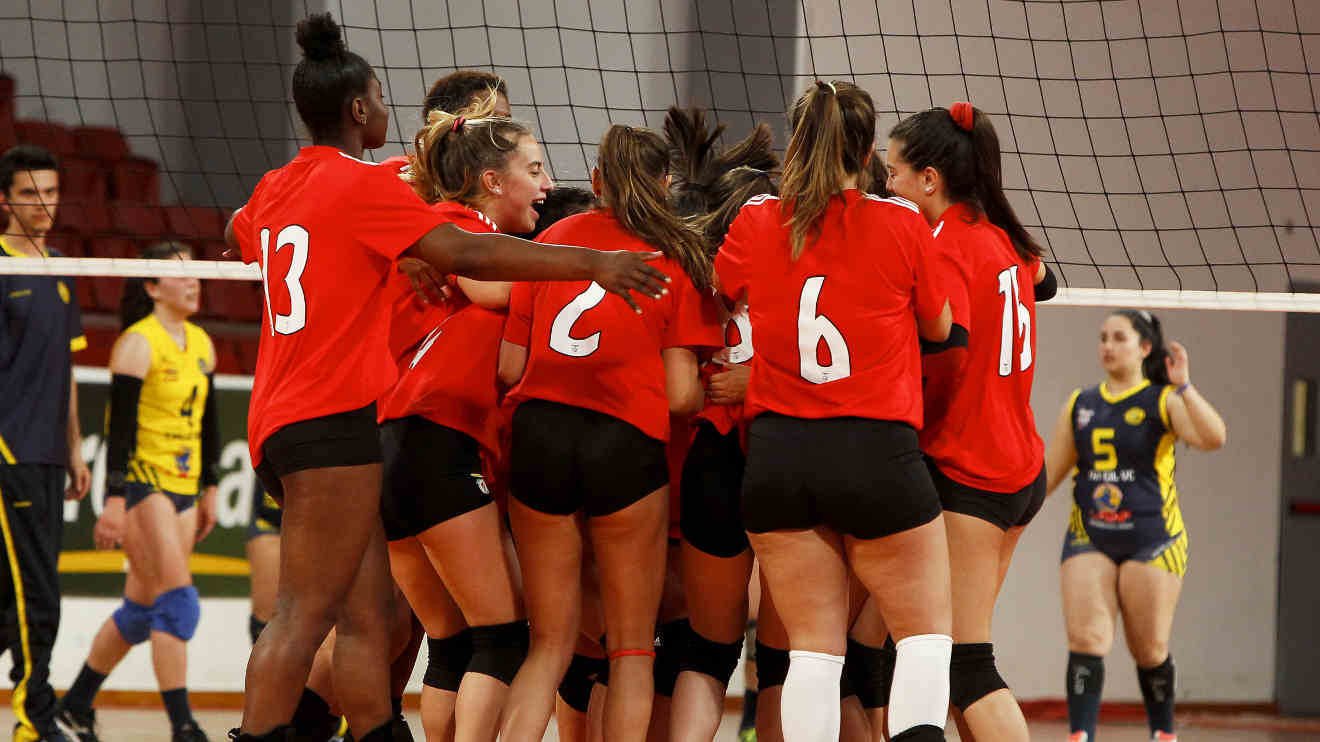 Odivelas Benfica Voleibol Feminino Campeonato - SL Benfica