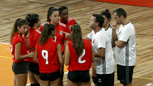 Voleibol feminino