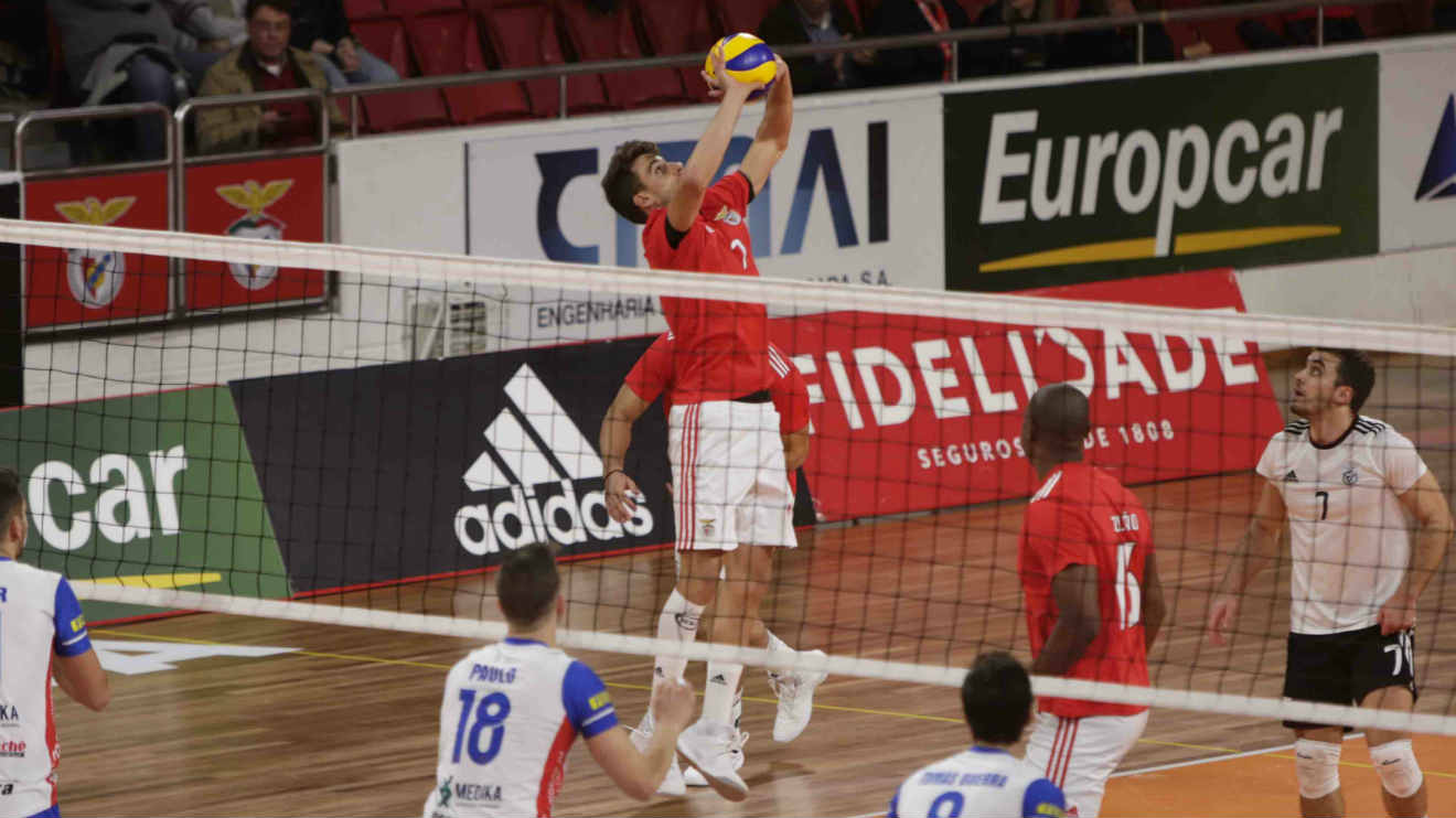 Tiago Violas