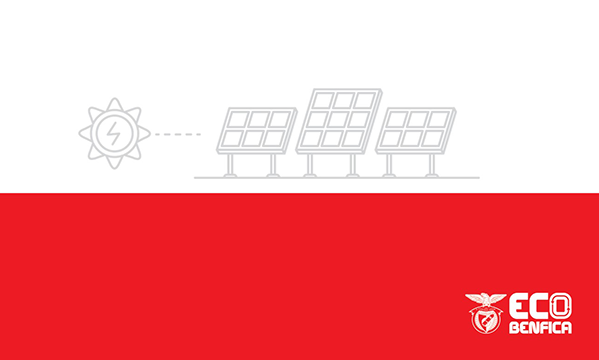 Dia Mundial da Energia