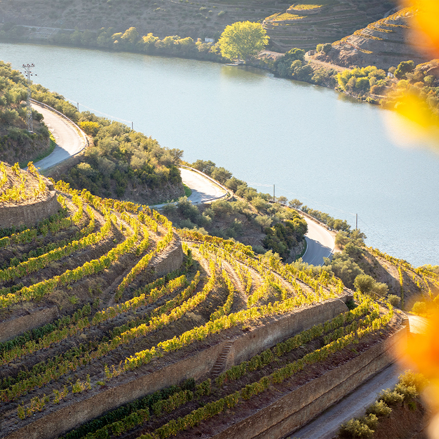 Paisagem da Região do Douro - Norte do país