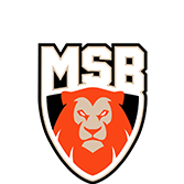 Le Mans Sarthe Basket