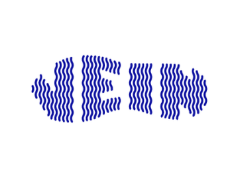 Vein - Sneakers Store