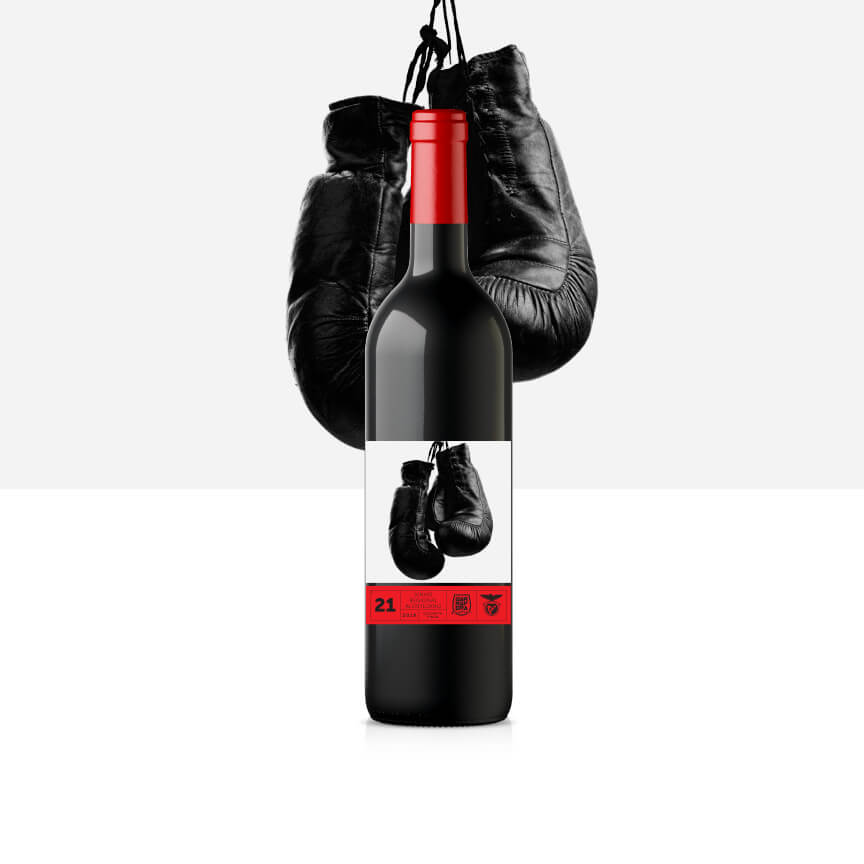 Vinho Tinto Colheita 2020 Regional Alentejano