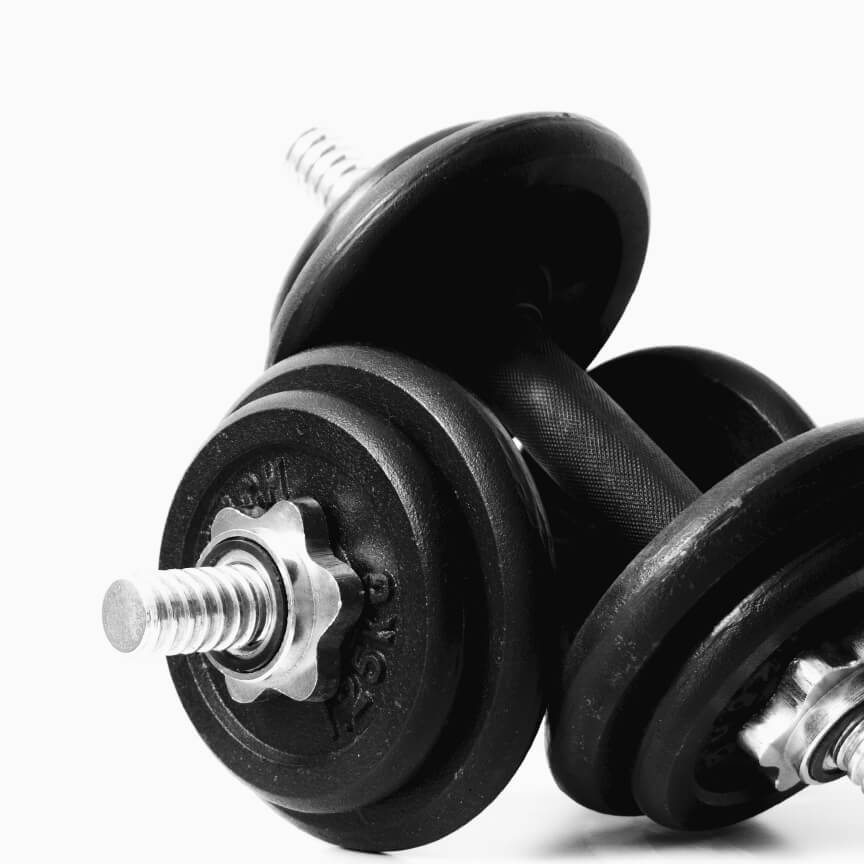 Cosecha de Vino Tinto 2020 DOC Beira Interior