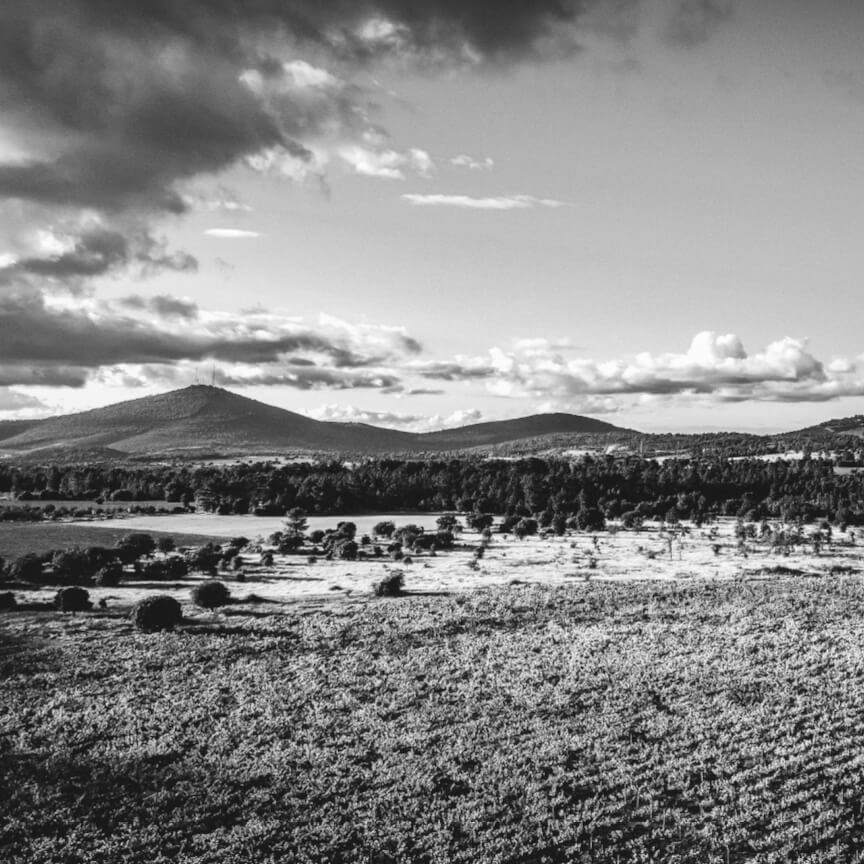 Reserva Vino Tinto 2020 DOC Terras das Beiras