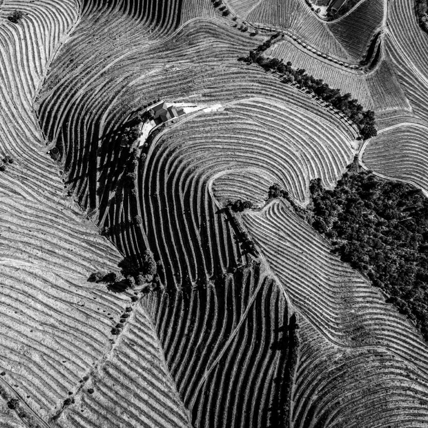 Vinho Tinto Reserva 2018 Douro