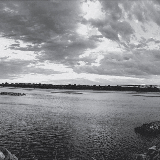 Vinho branco reserva 2021 Tejo