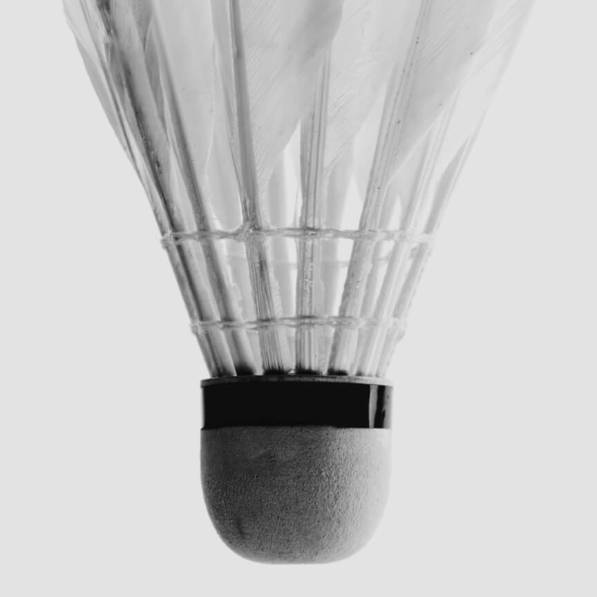 Vino Blanco Cosecha 2019 Península de Setúbal