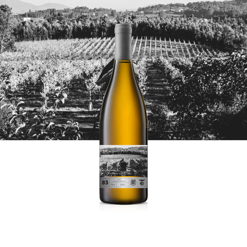 Vinho Branco Reserva 2019 Vinhos Verdes