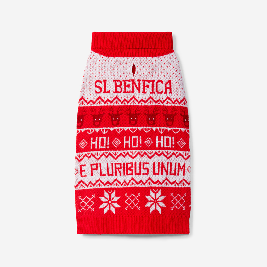 Pull de Noël Benfica pour Animaux