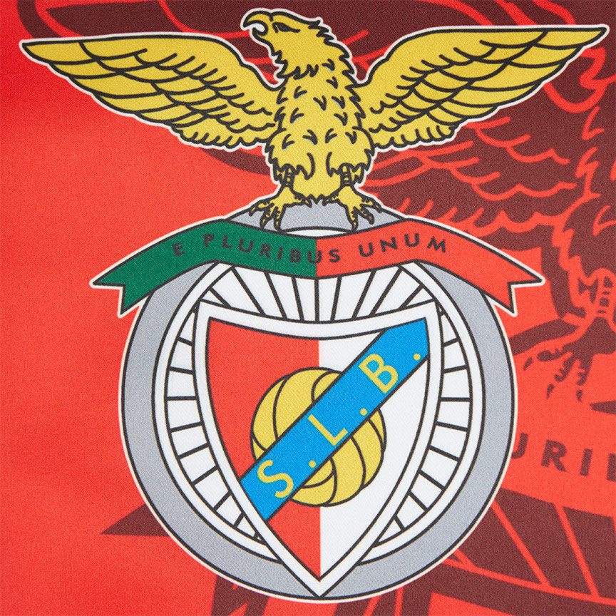Galhardete com o logo do Sport Lisboa e Benfica