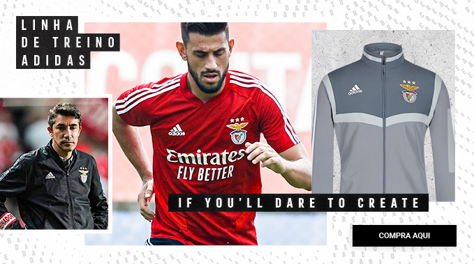 Benfica Linha Treino Adidas 2019-2020