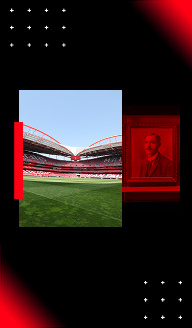 visita estádio da luz e museu